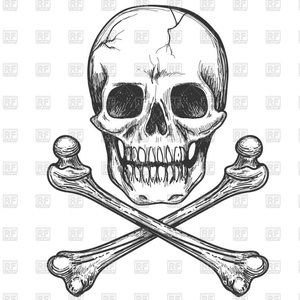 BARE BONES SHIPPING!